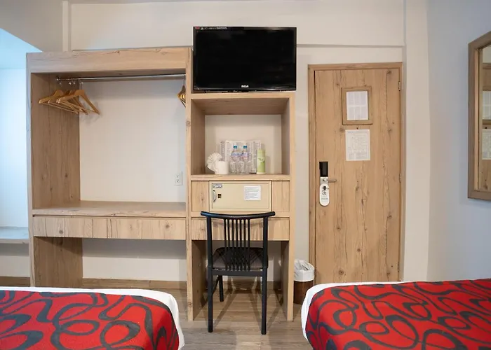 Roble Hotel 3*