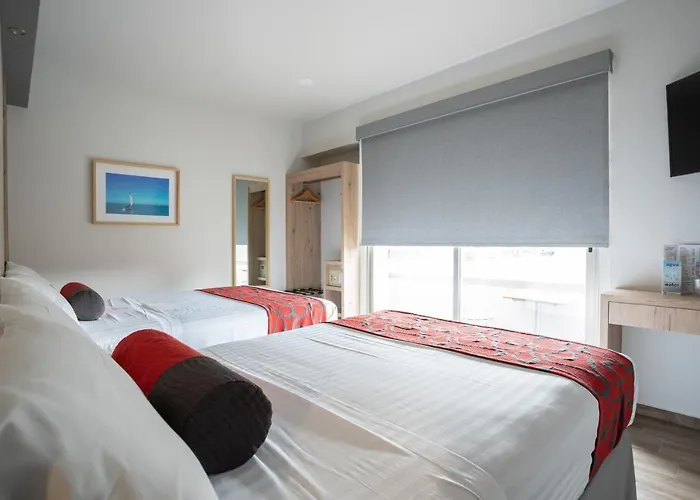 Roble Hotel 3*