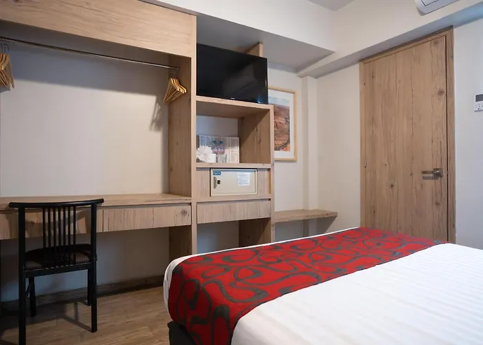 Hotel Roble México DF