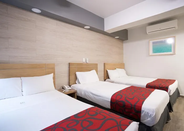 Roble 3* México DF